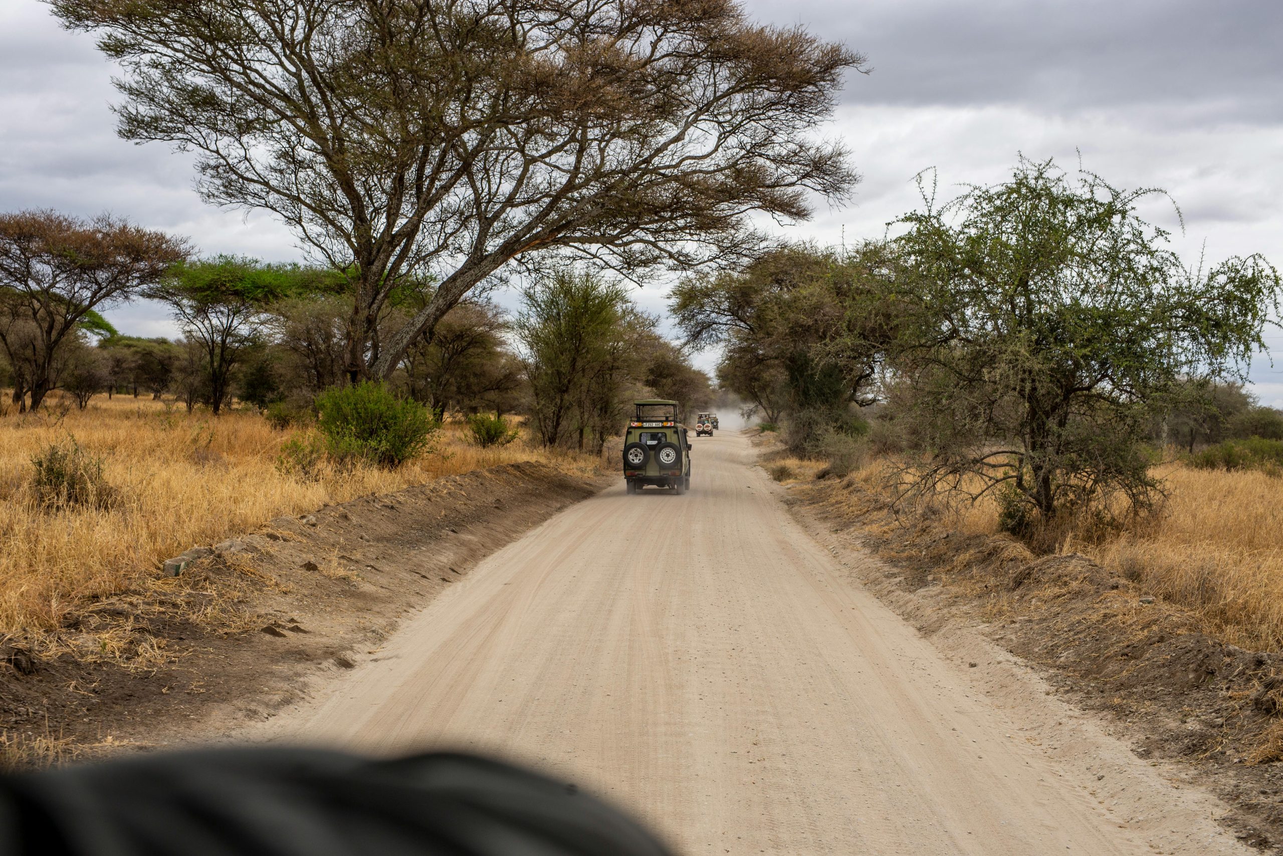 Kenya Tours