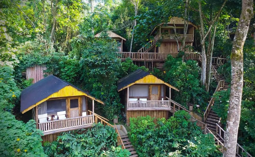 Where to Stay in Bwindi
