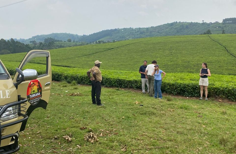Plan Your Trip to Rwanda