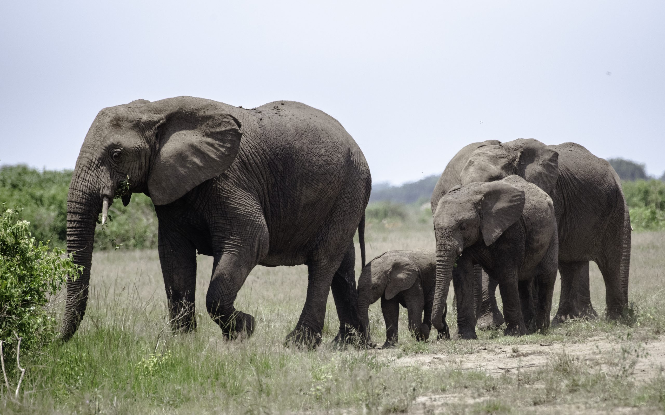 Northern Kenya Safaris