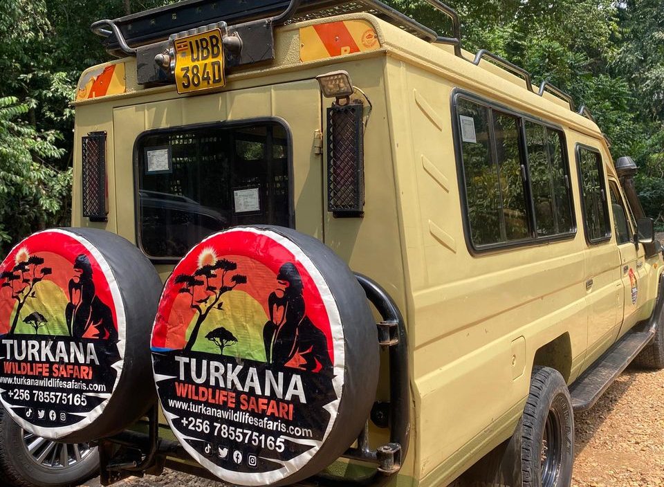 Best Luxury Safaris Uganda