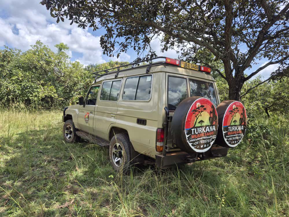 Akagera National Park Guide