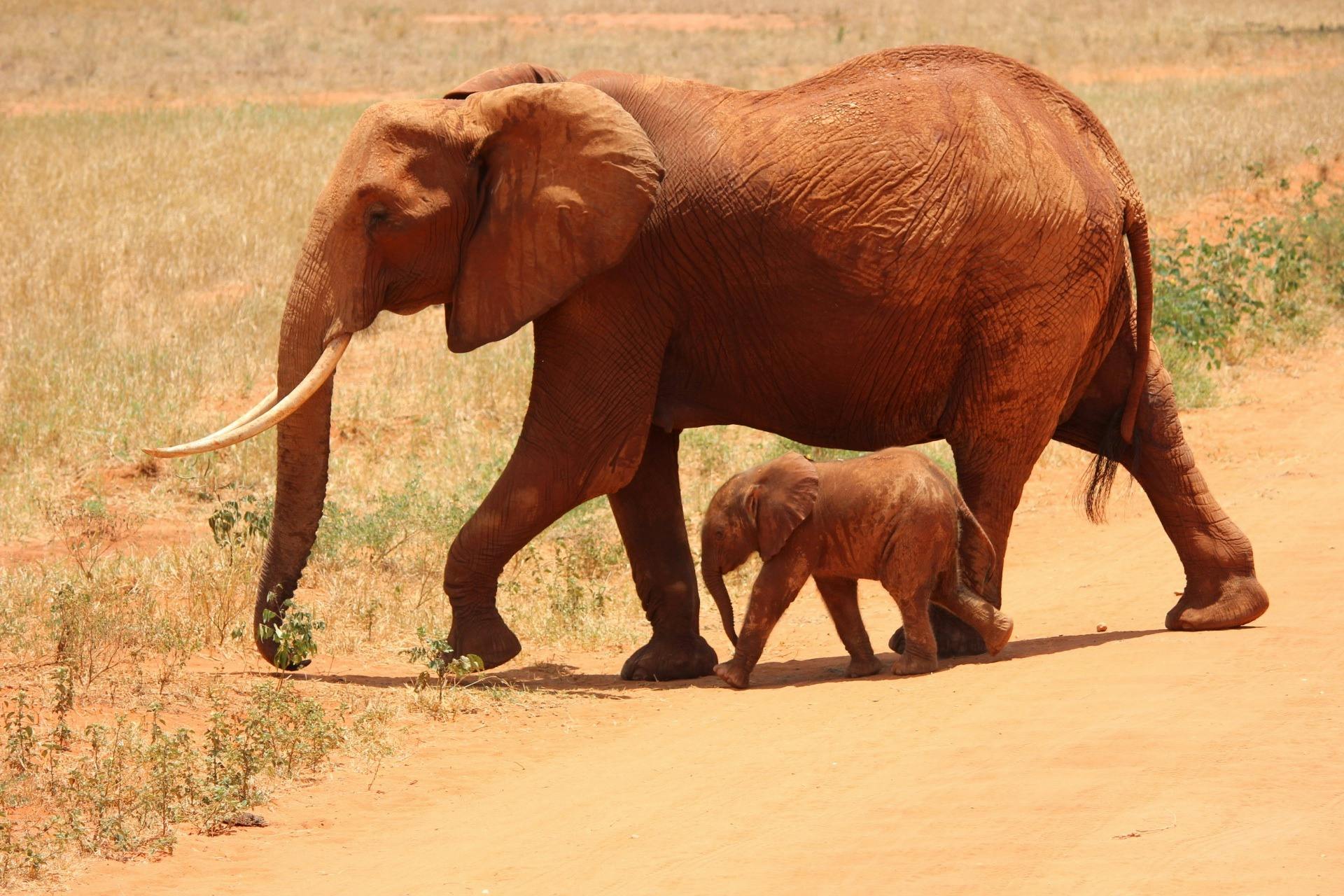 5-Day Uganda Wildlife Safari