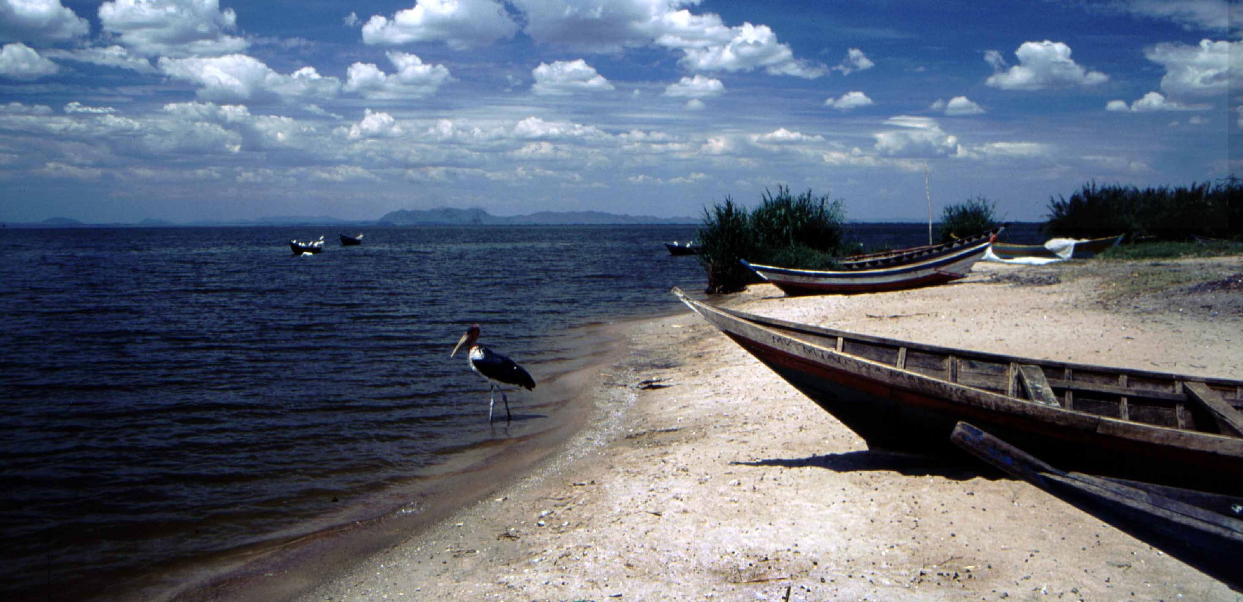 Lake Victoria Safari Uganda