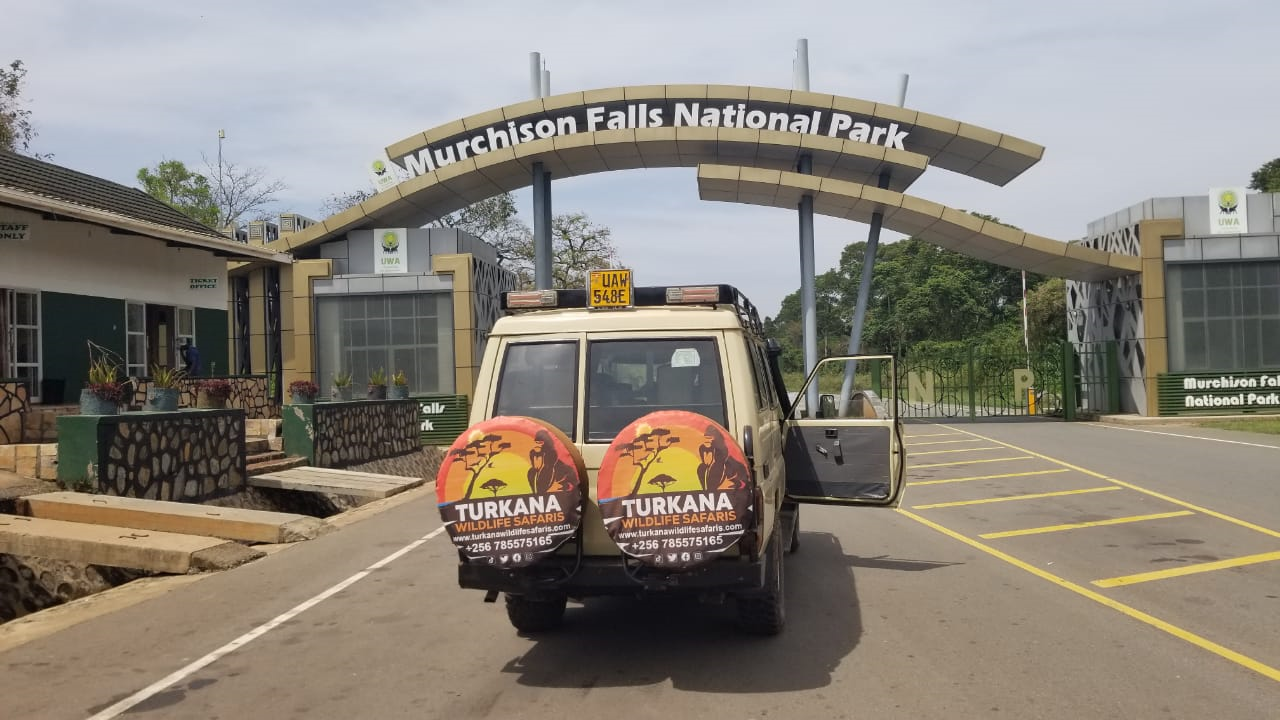 4 Days Murchison Falls Wildlife Safari
