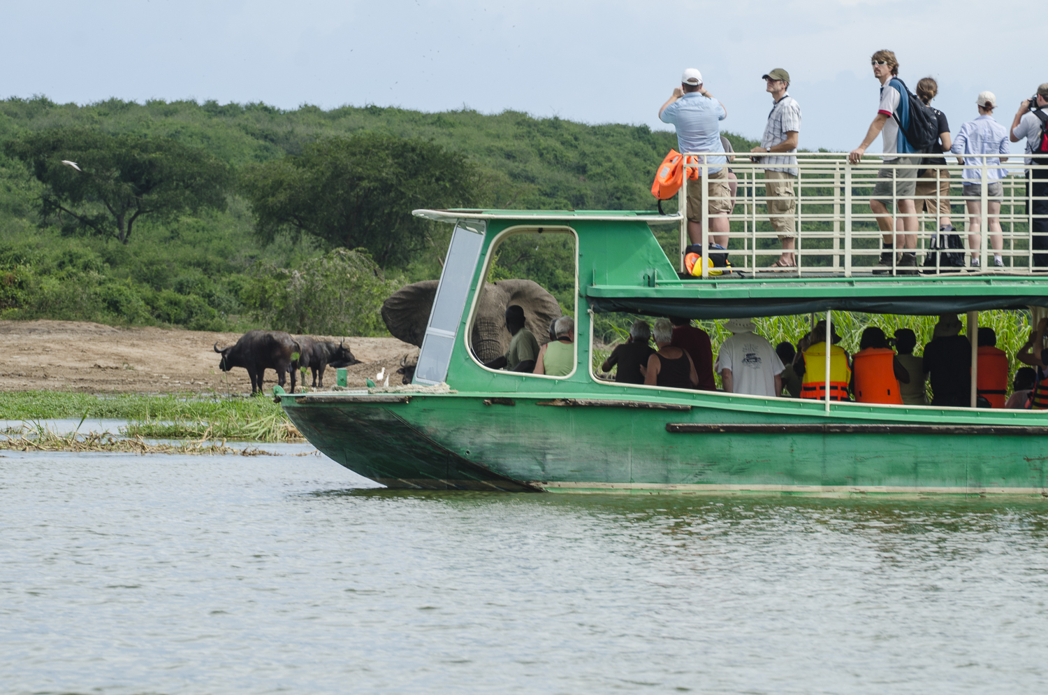 Safari Tips Checklist