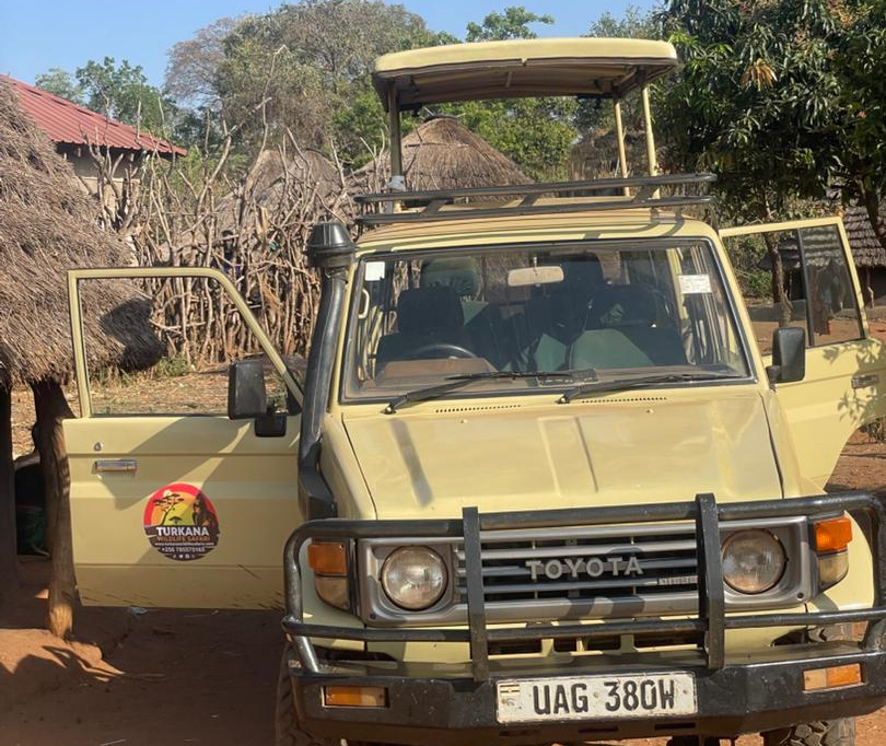 Uganda Safari Experience on Budget