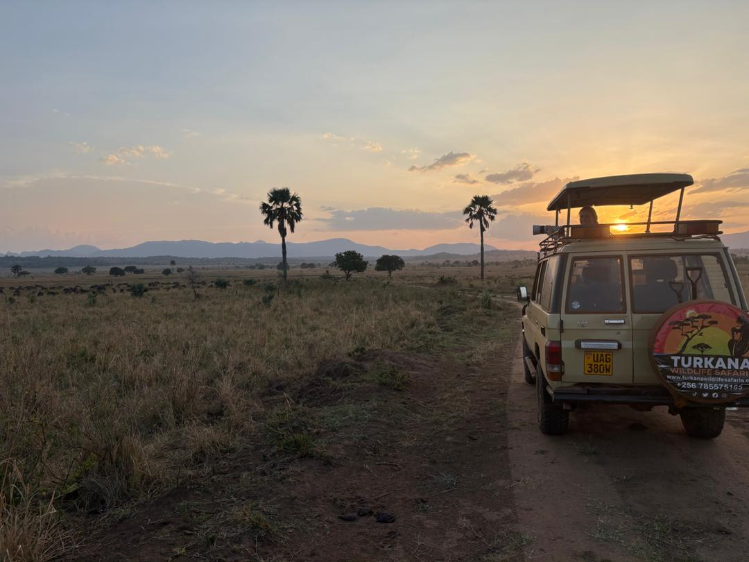 Kidepo Safari Itinerary
