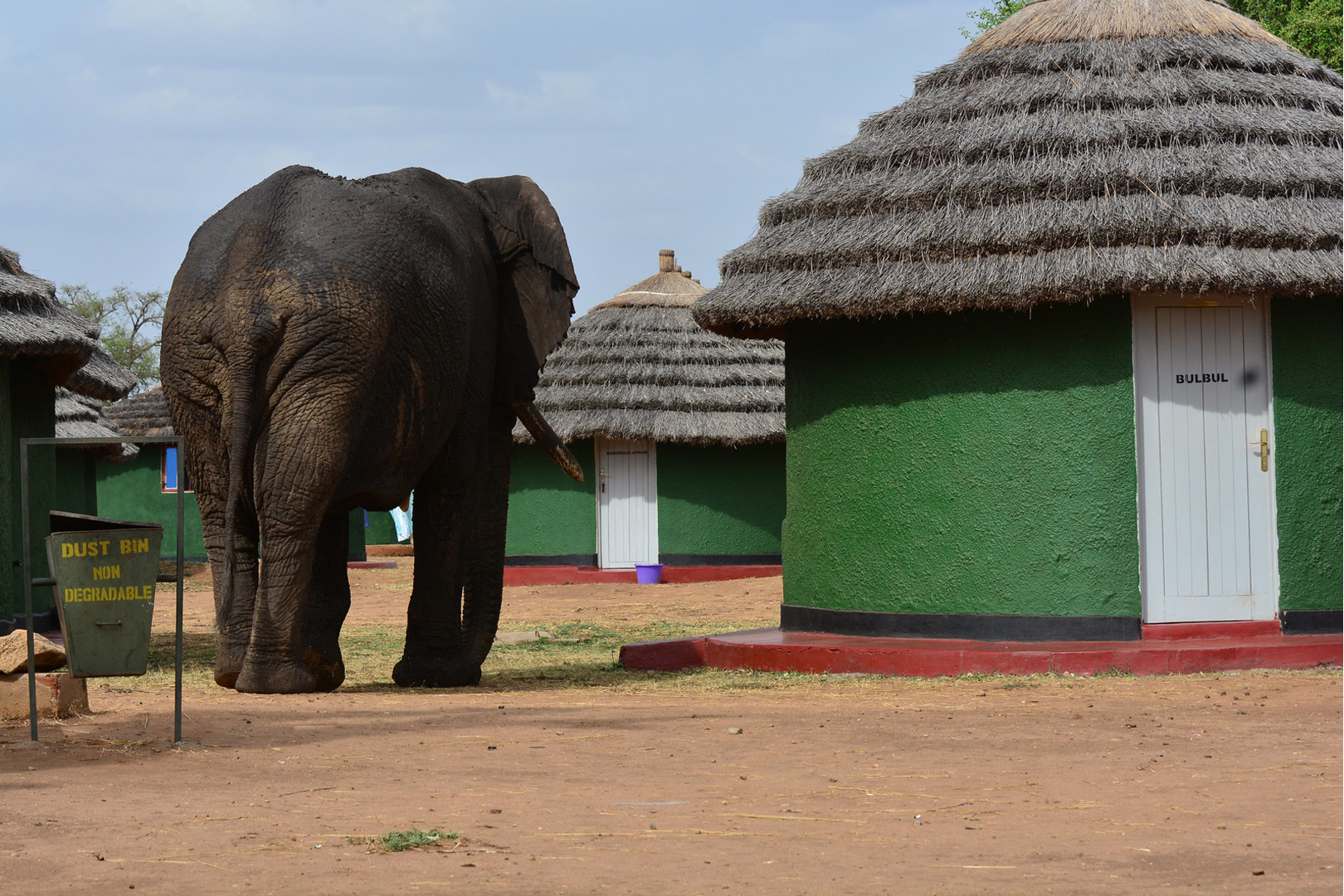 Kidepo Accommodation Guide