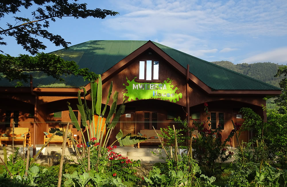 Bwindi Accommodation