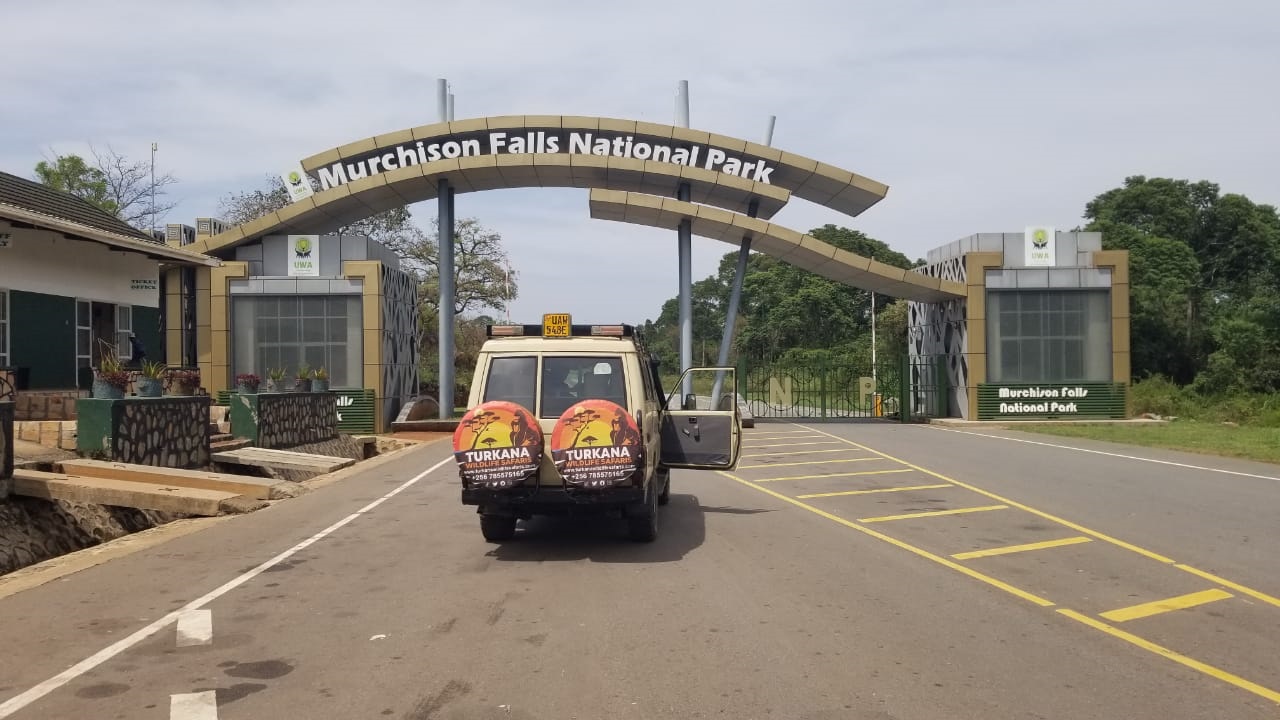 Discover Uganda Safari