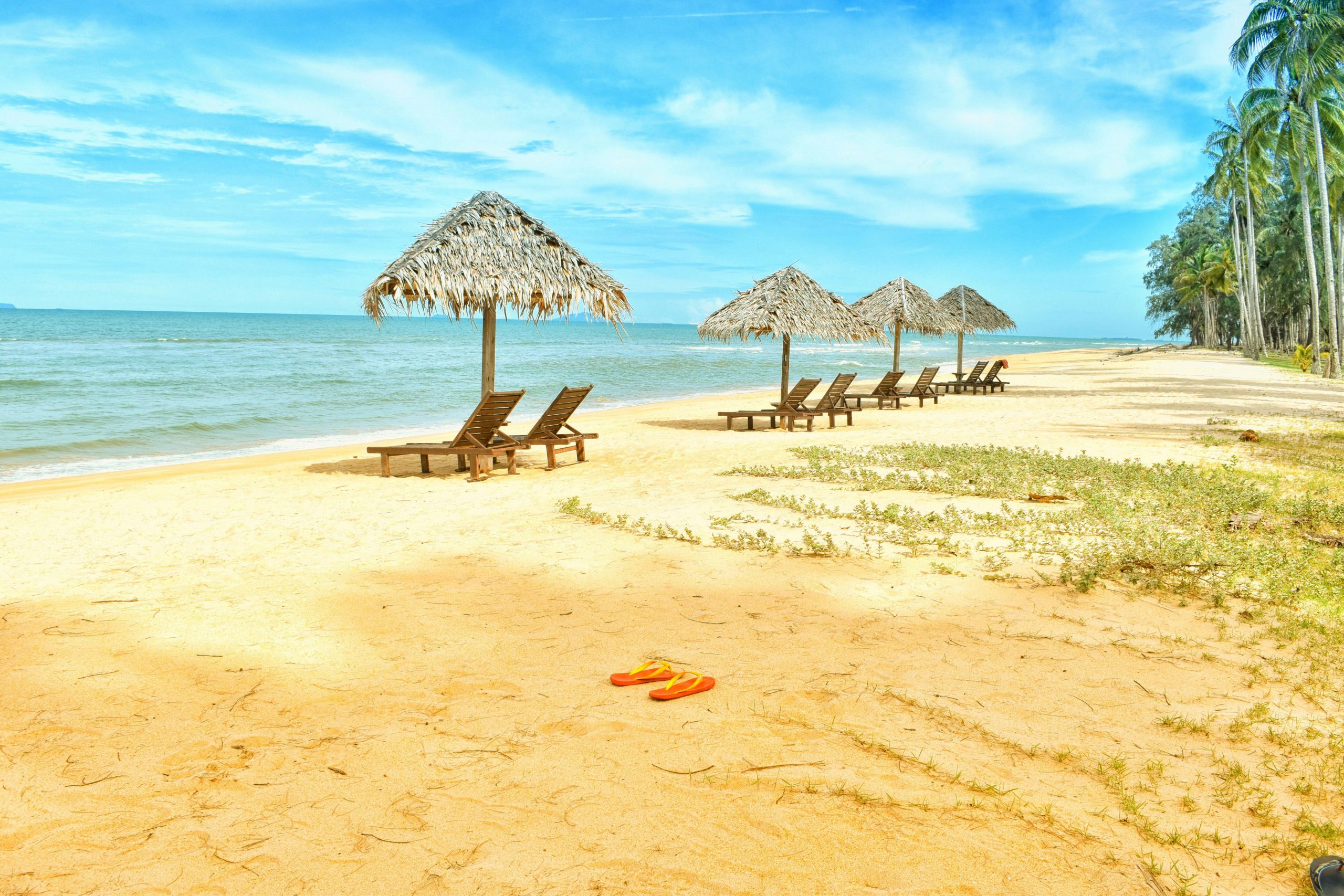 Zanzibar Safari Extension