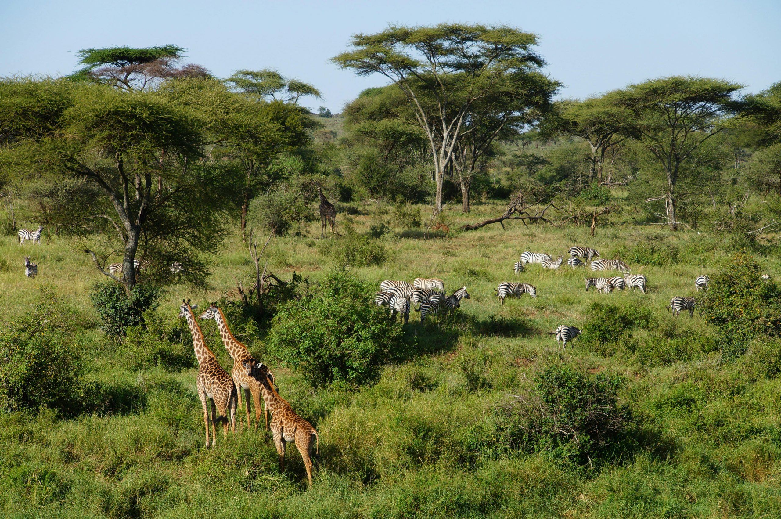 Ruma National Park Safari