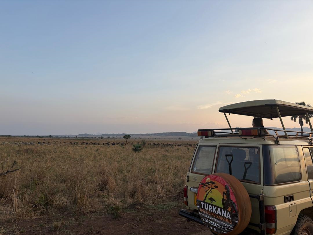 6 Days Uganda Safari