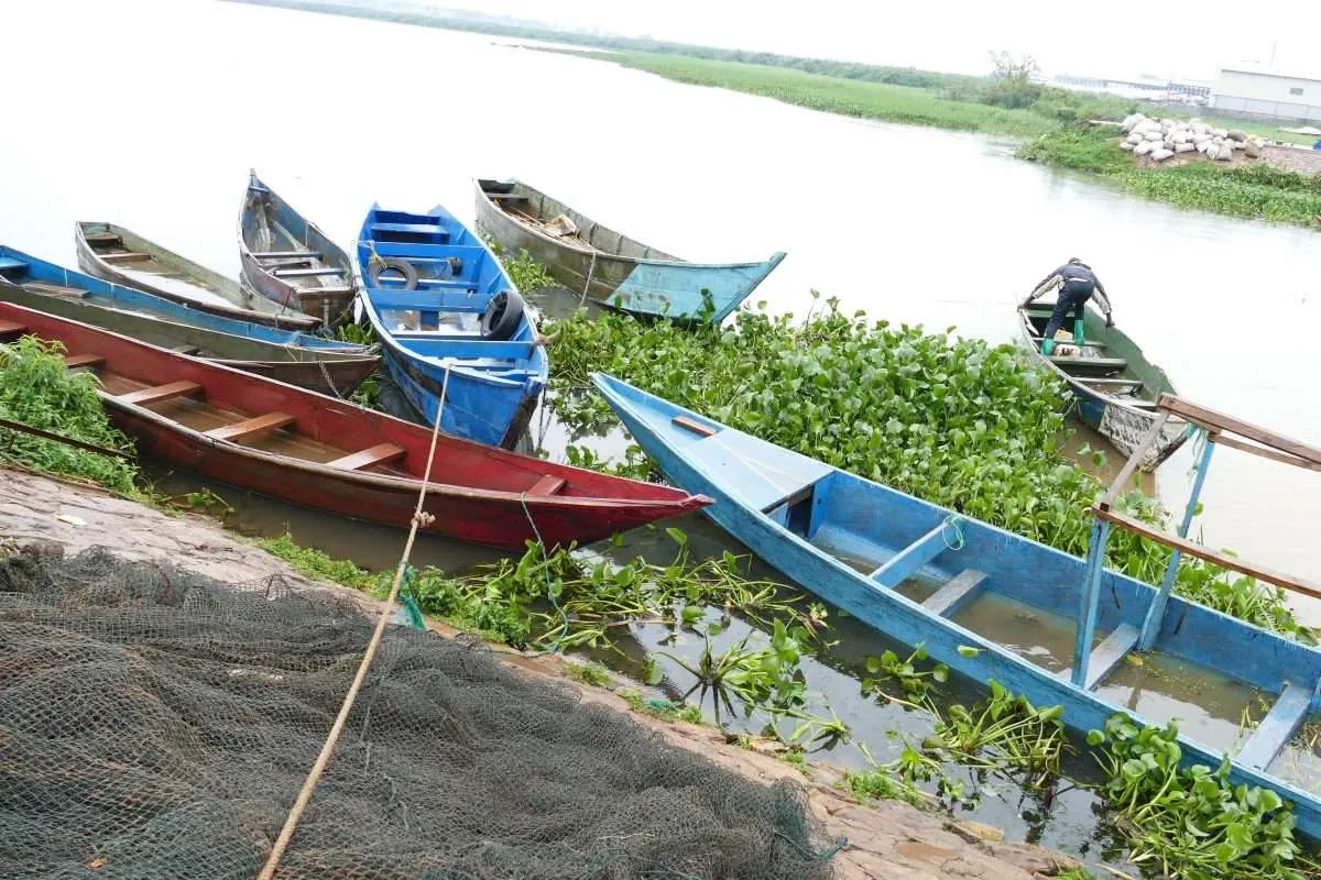 Lake Victoria Fishing Safari