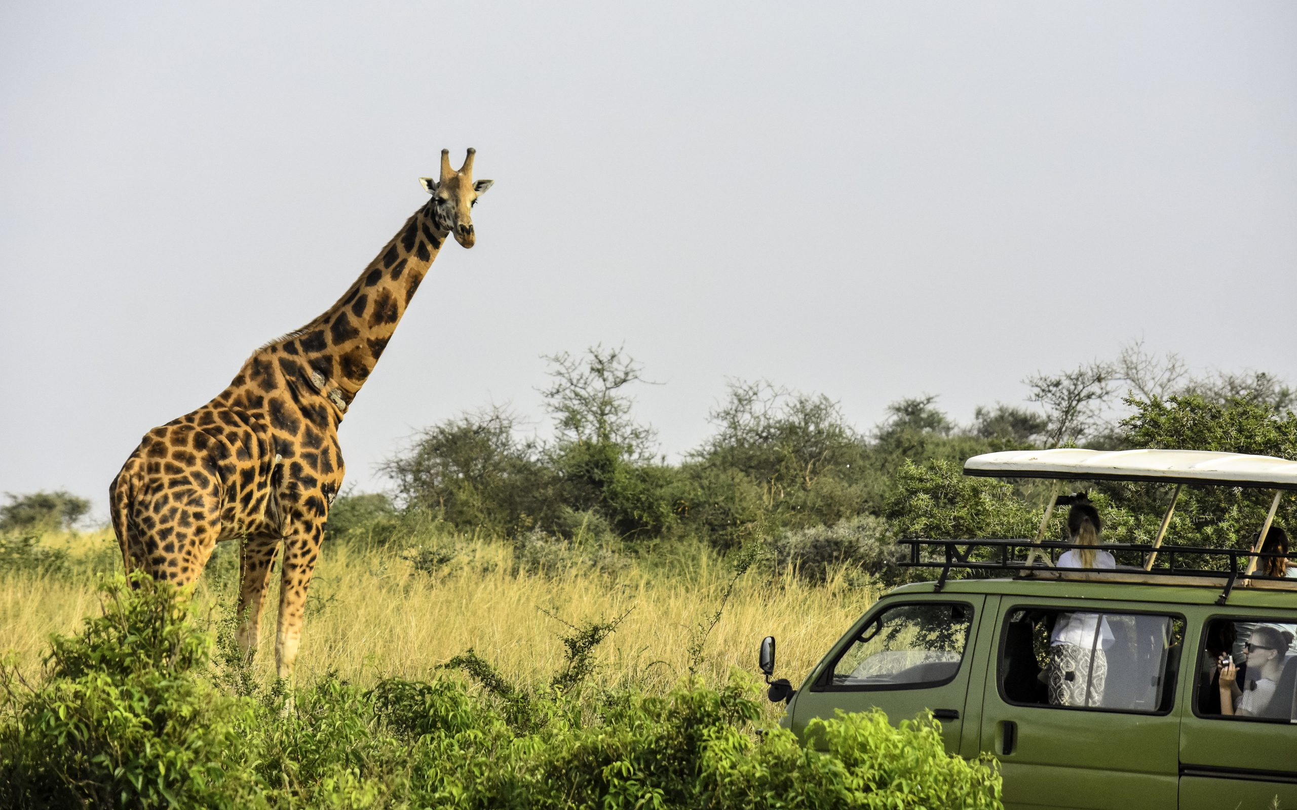 6 Days Wildlife Safari Uganda