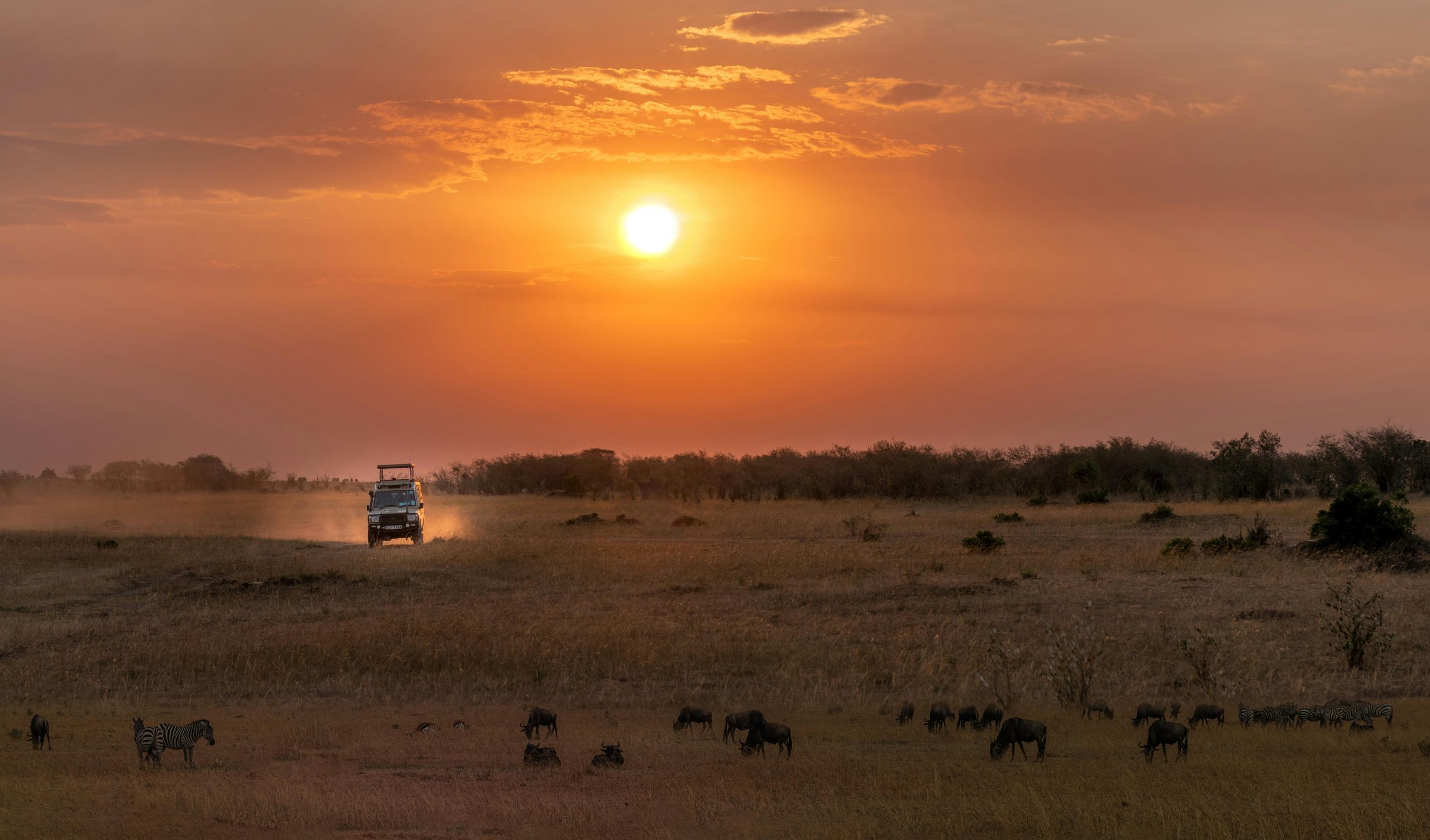 Akagera Safari Packages