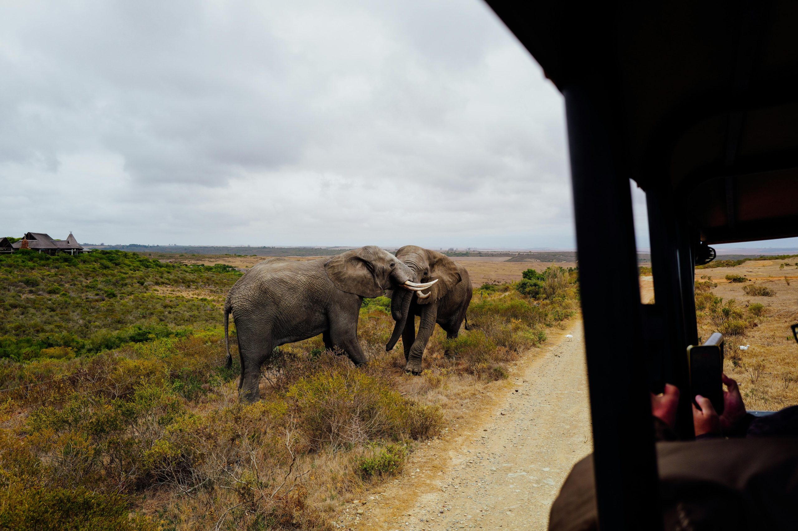 Multi Country Safari Tours