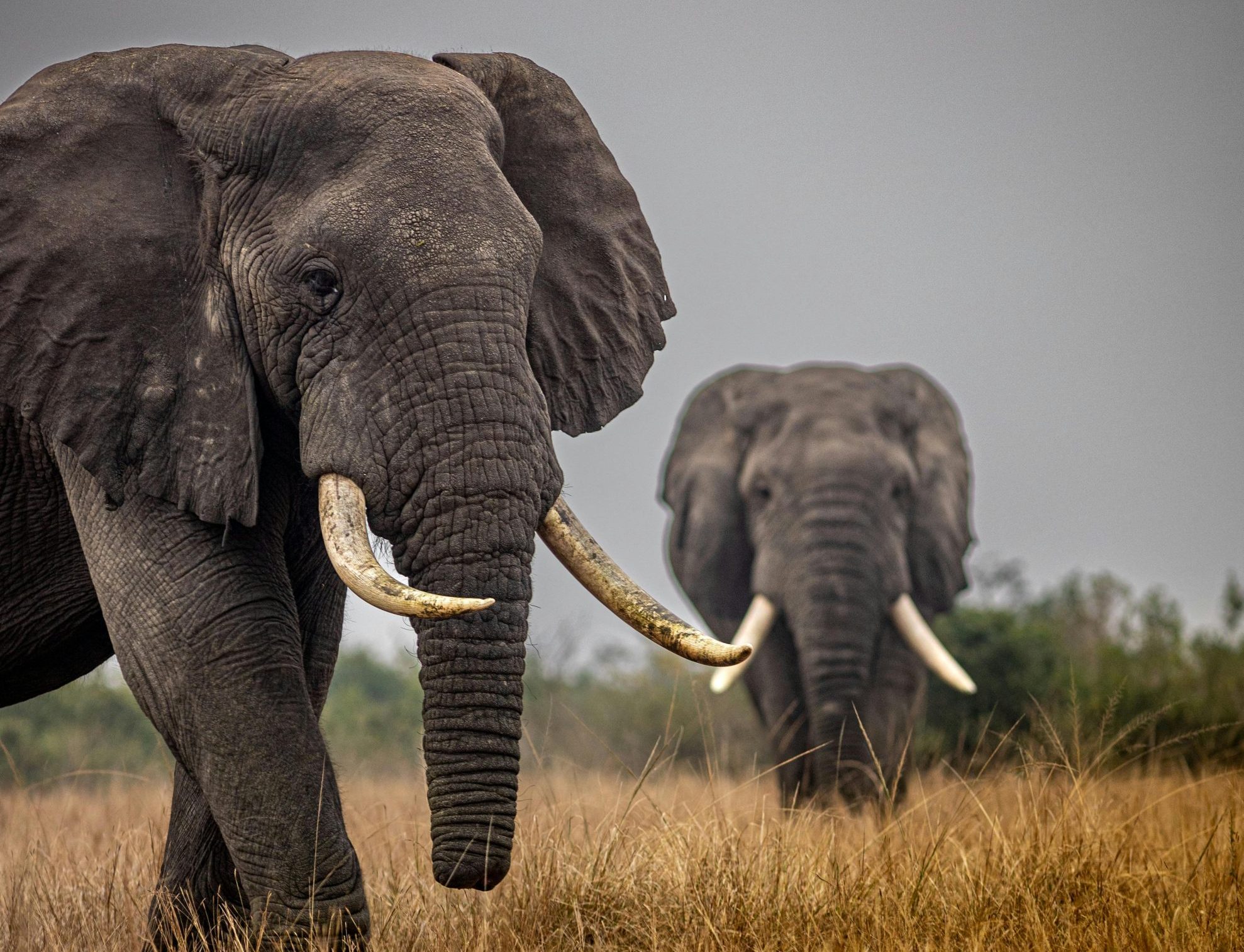 3 Days Murchison Falls Safari Tour