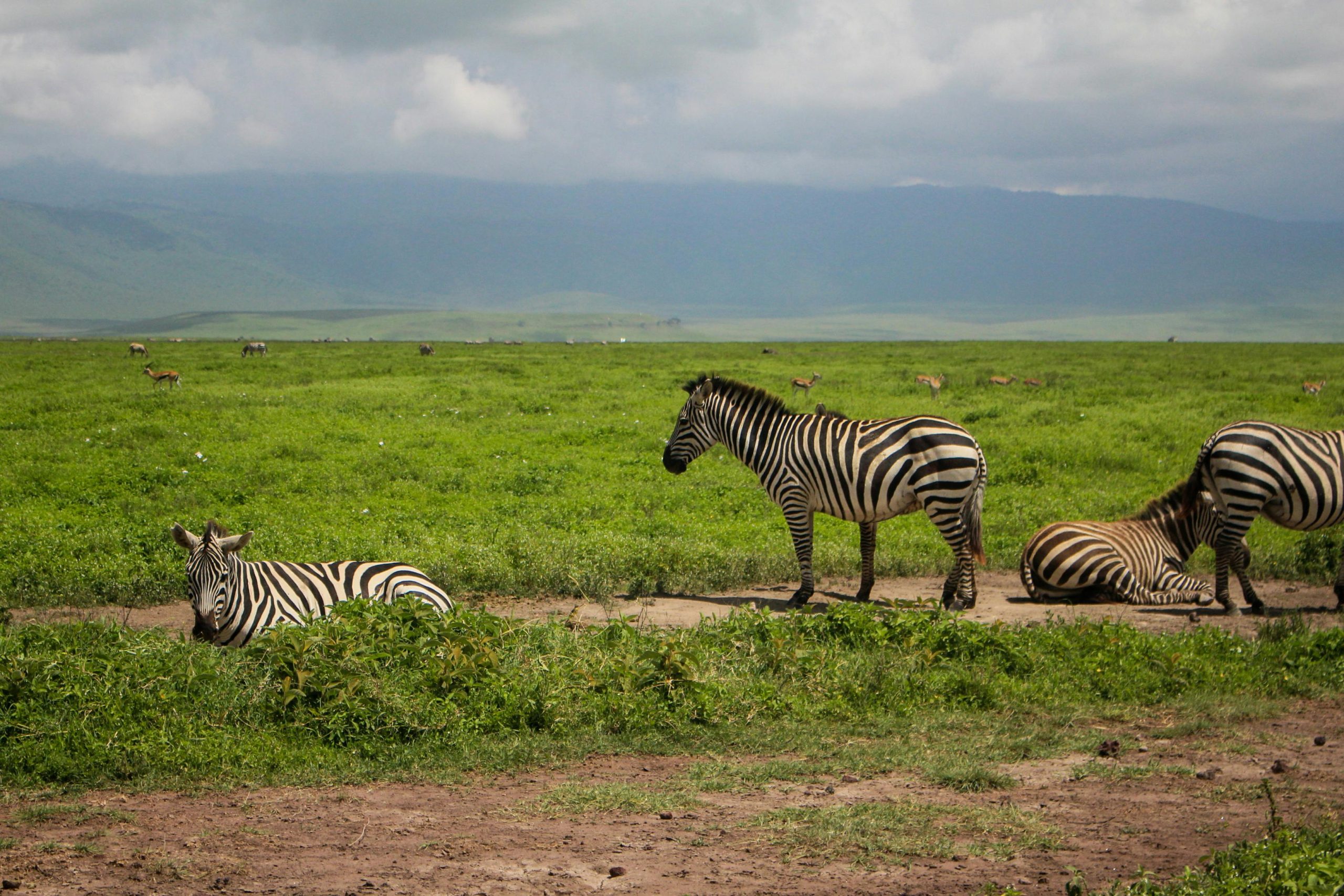 Why Choose Rwanda
