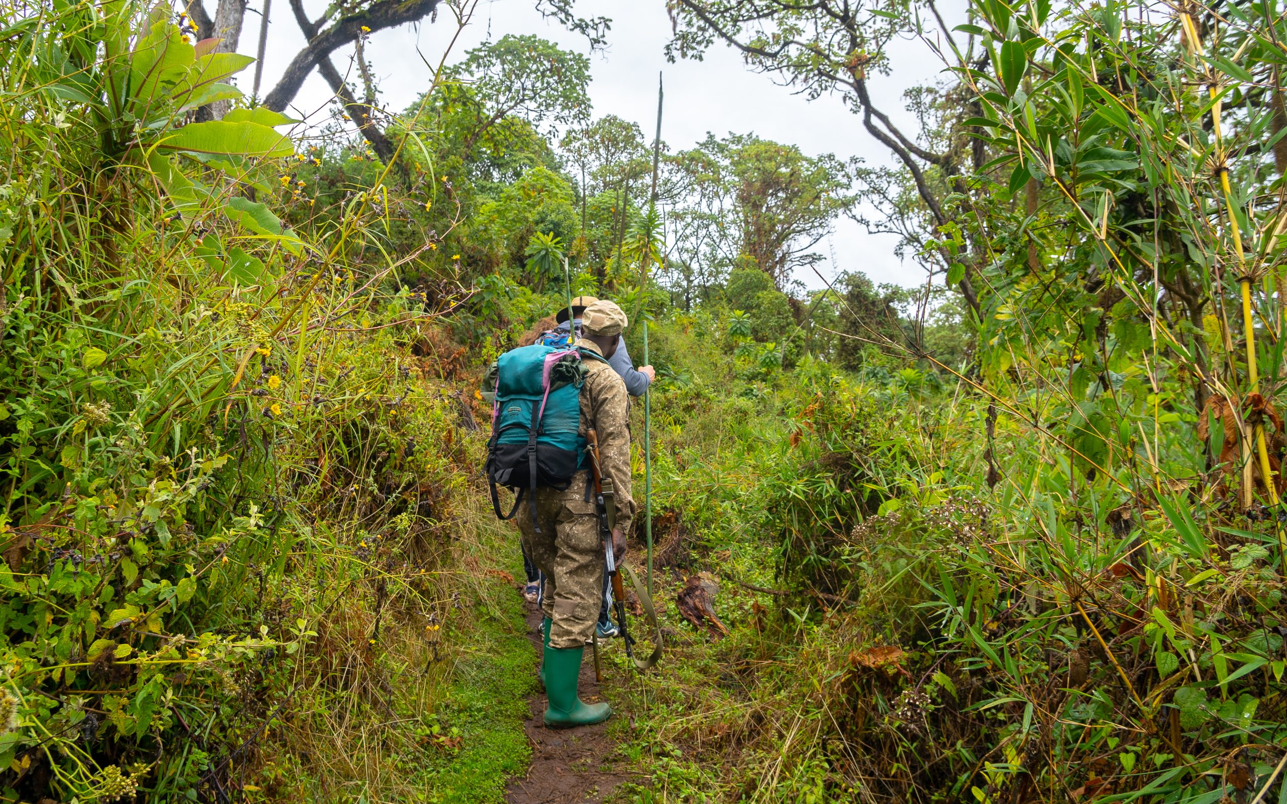 Mount Elgon Hiking Safari Uganda
