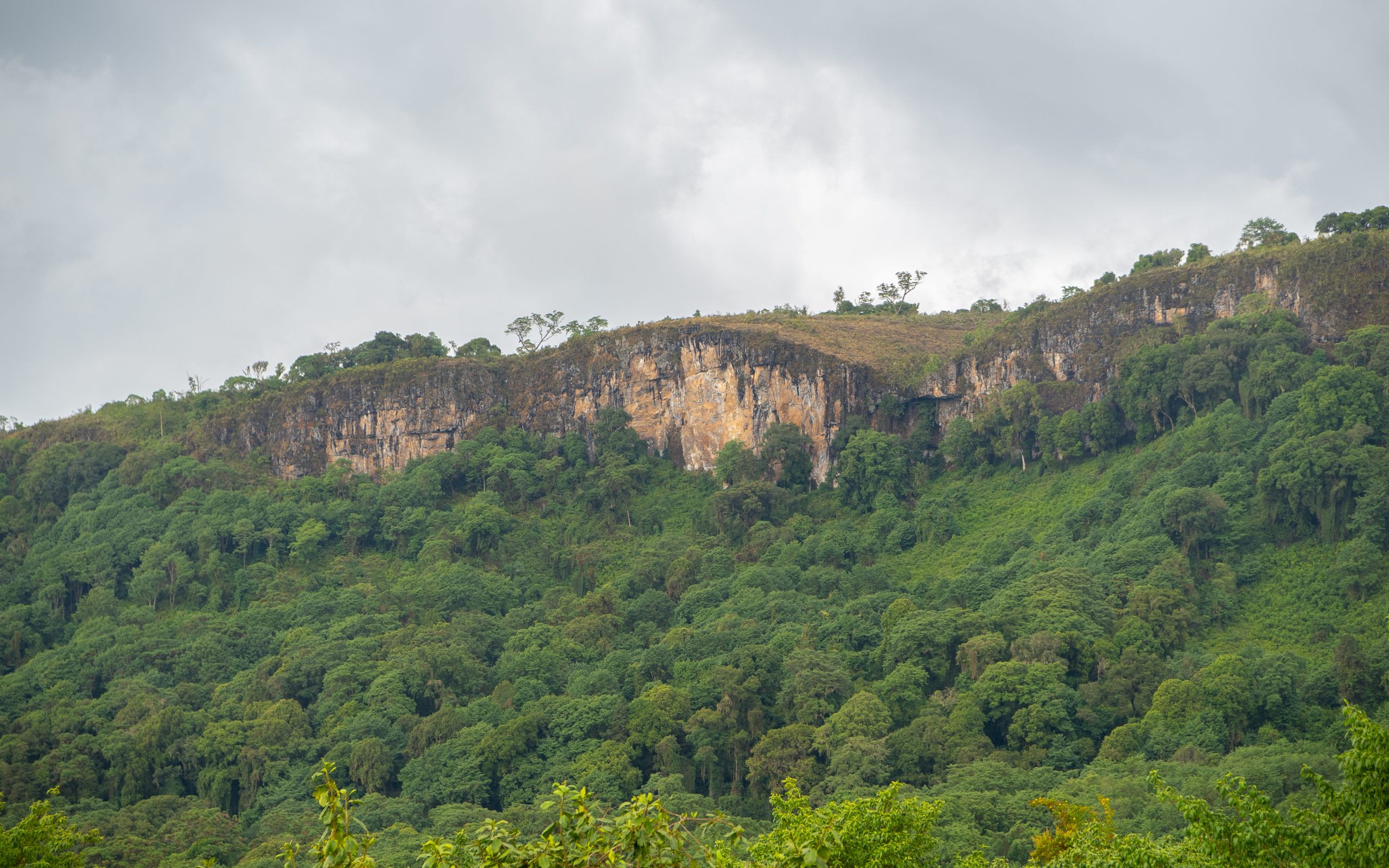 Mount Elgon Safaris