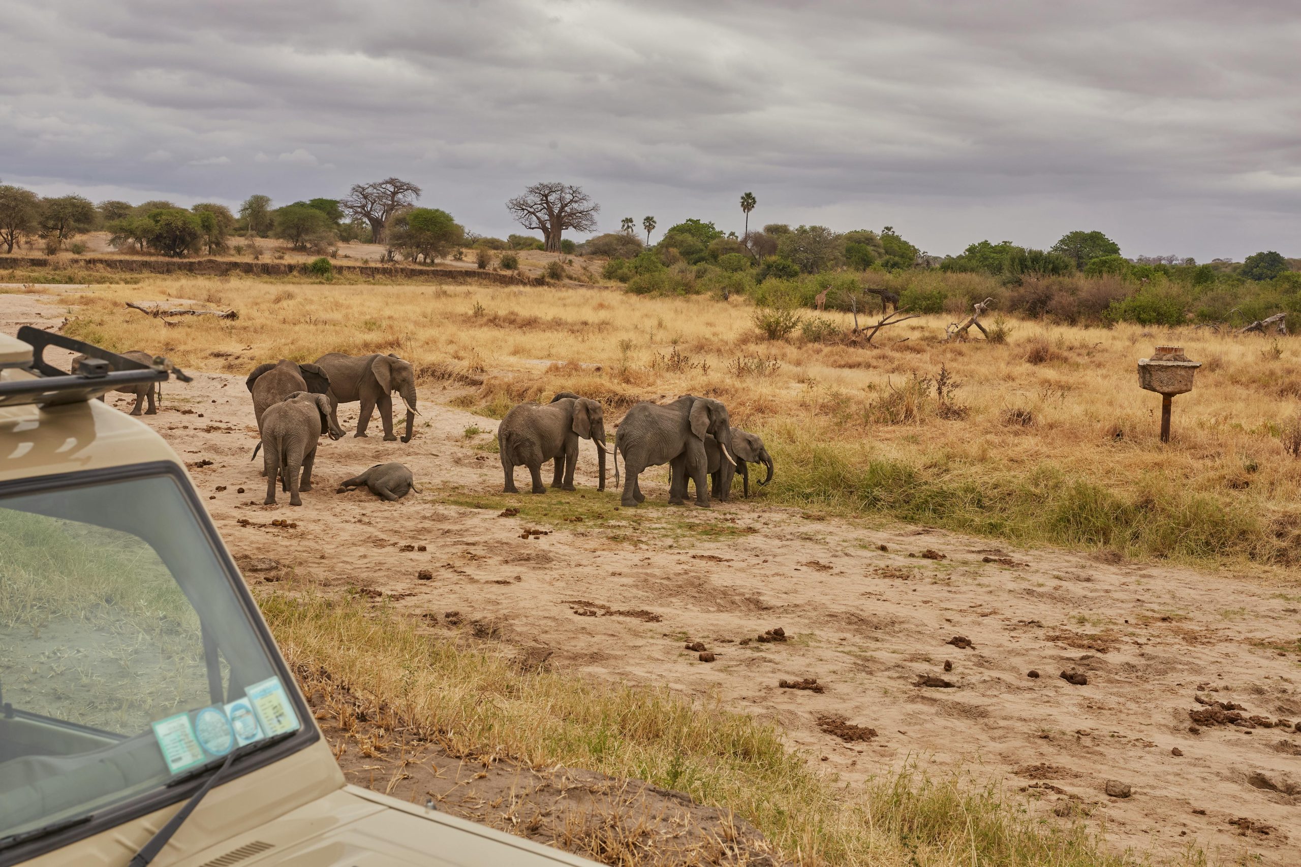 Karamoja Wildlife Safaris