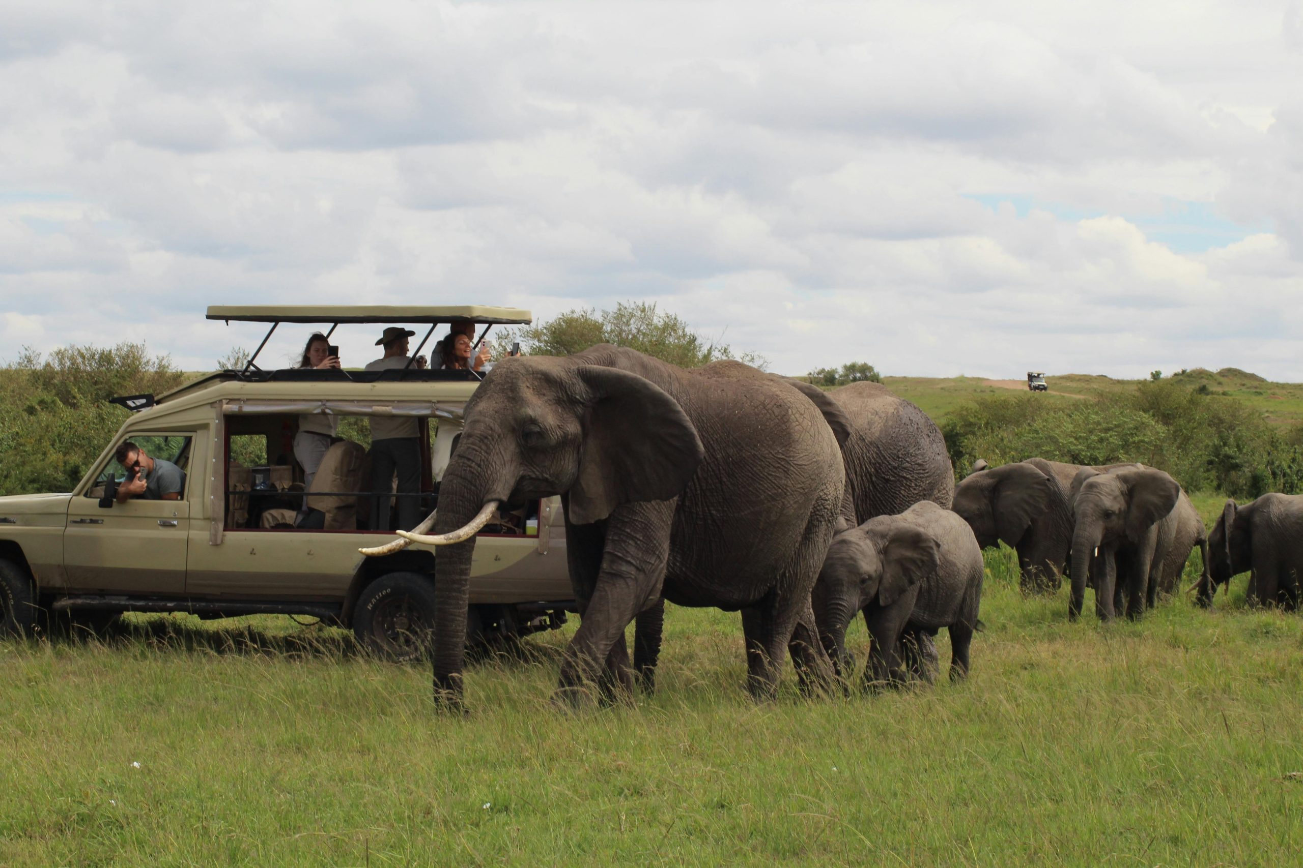 Africa Safari Packages