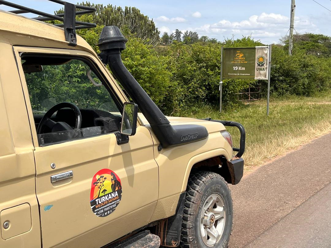 Family Safari Tours
