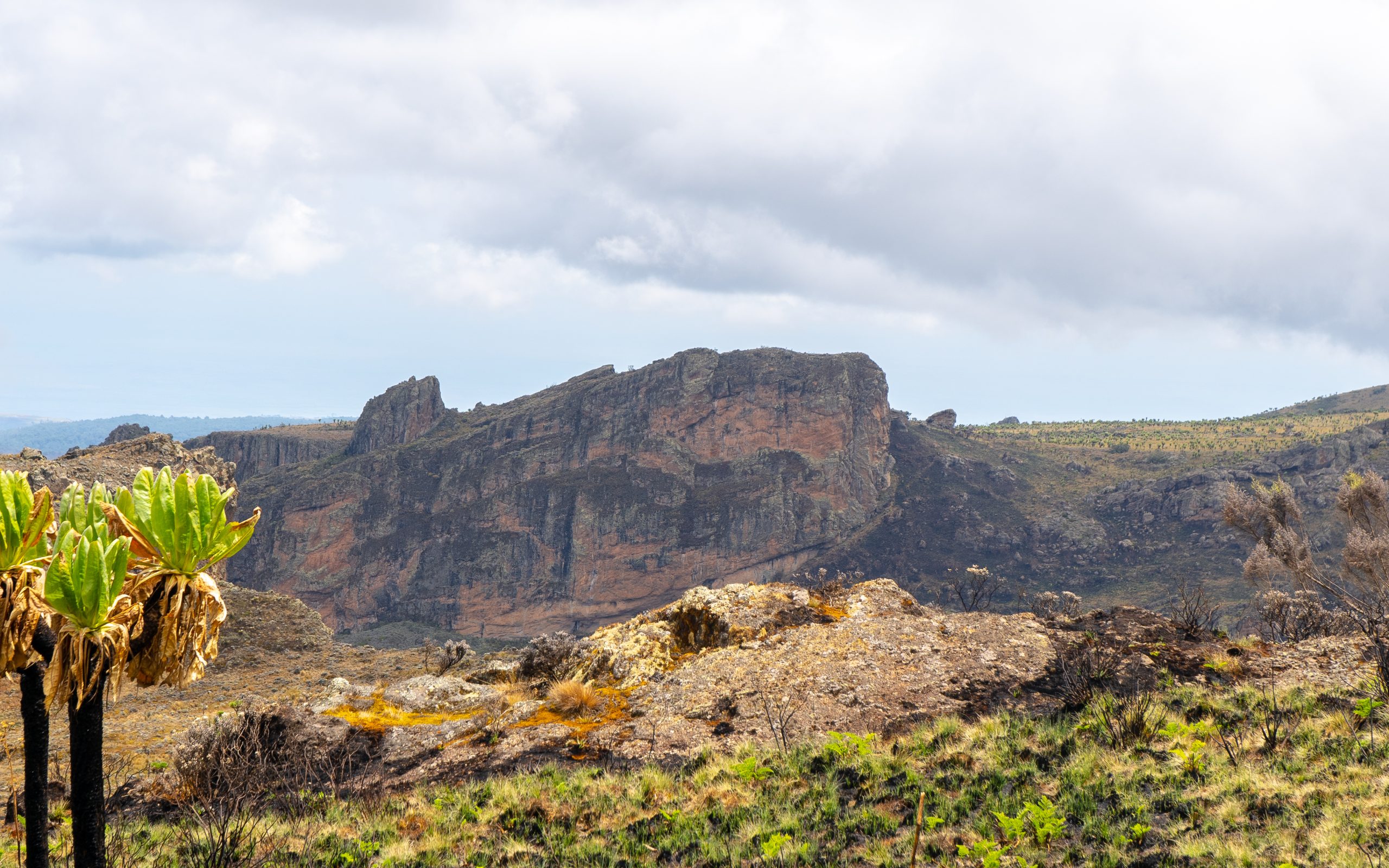 Mount Elgon Hiking Safari Experience