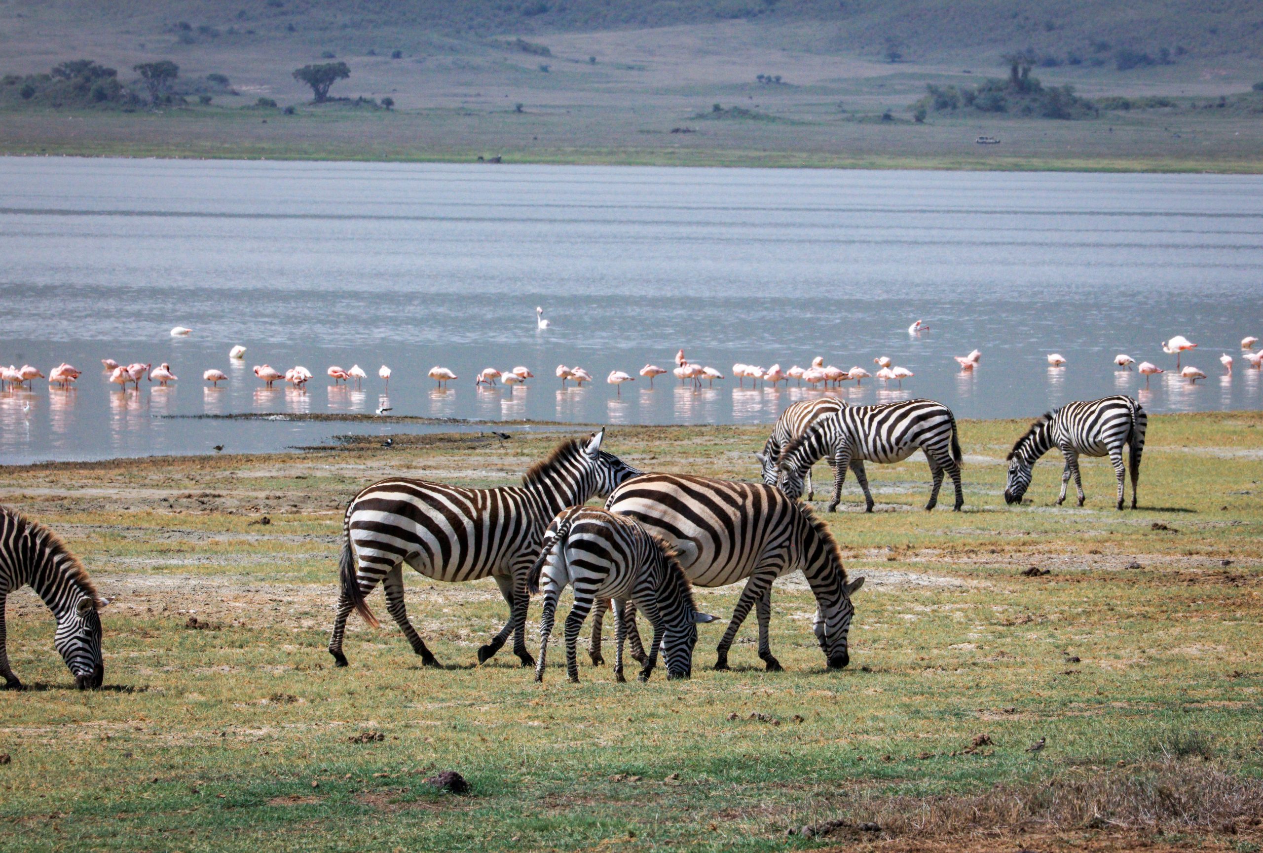 Lake Manyara National Park Tanzania