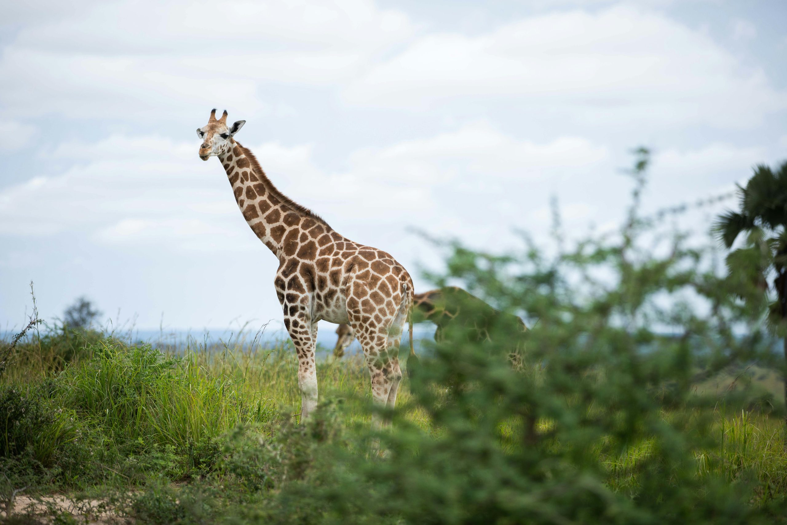 Responsible Tourism Uganda