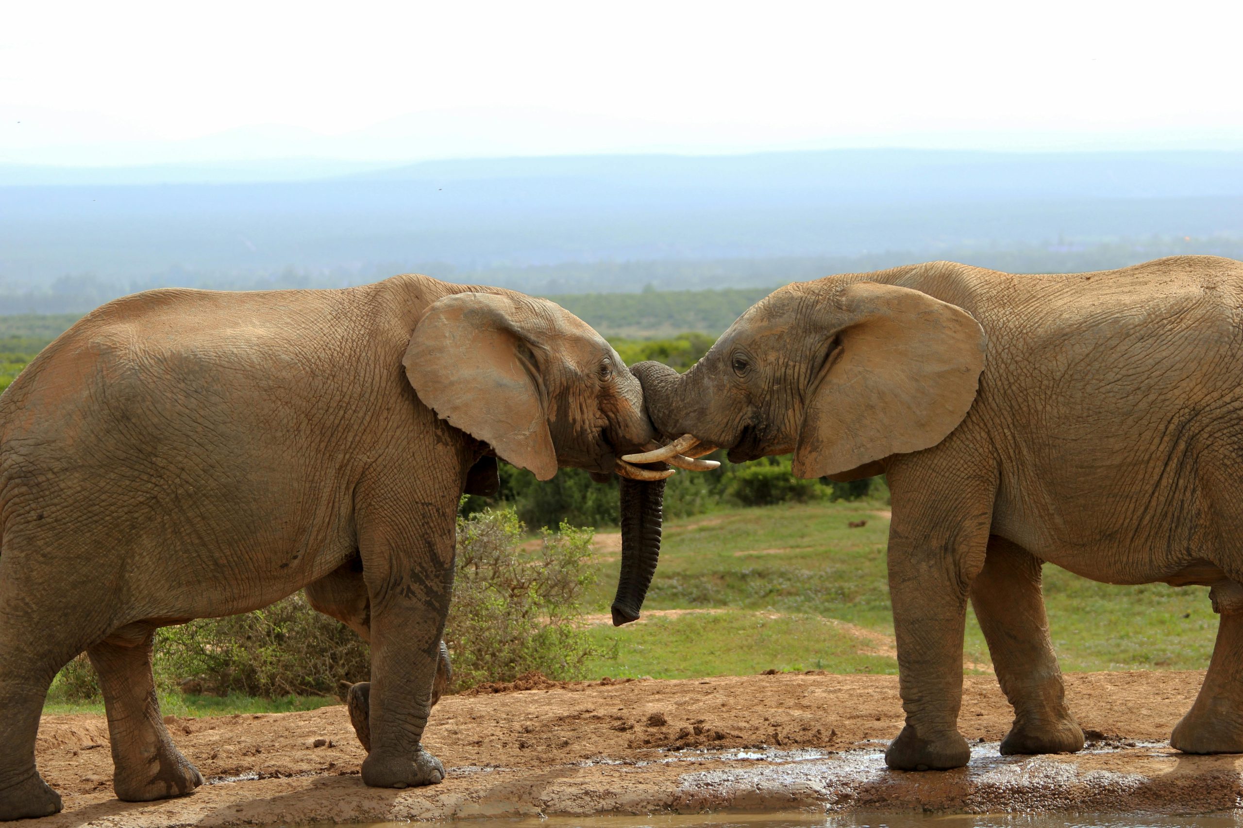Sustainable Tourism Africa