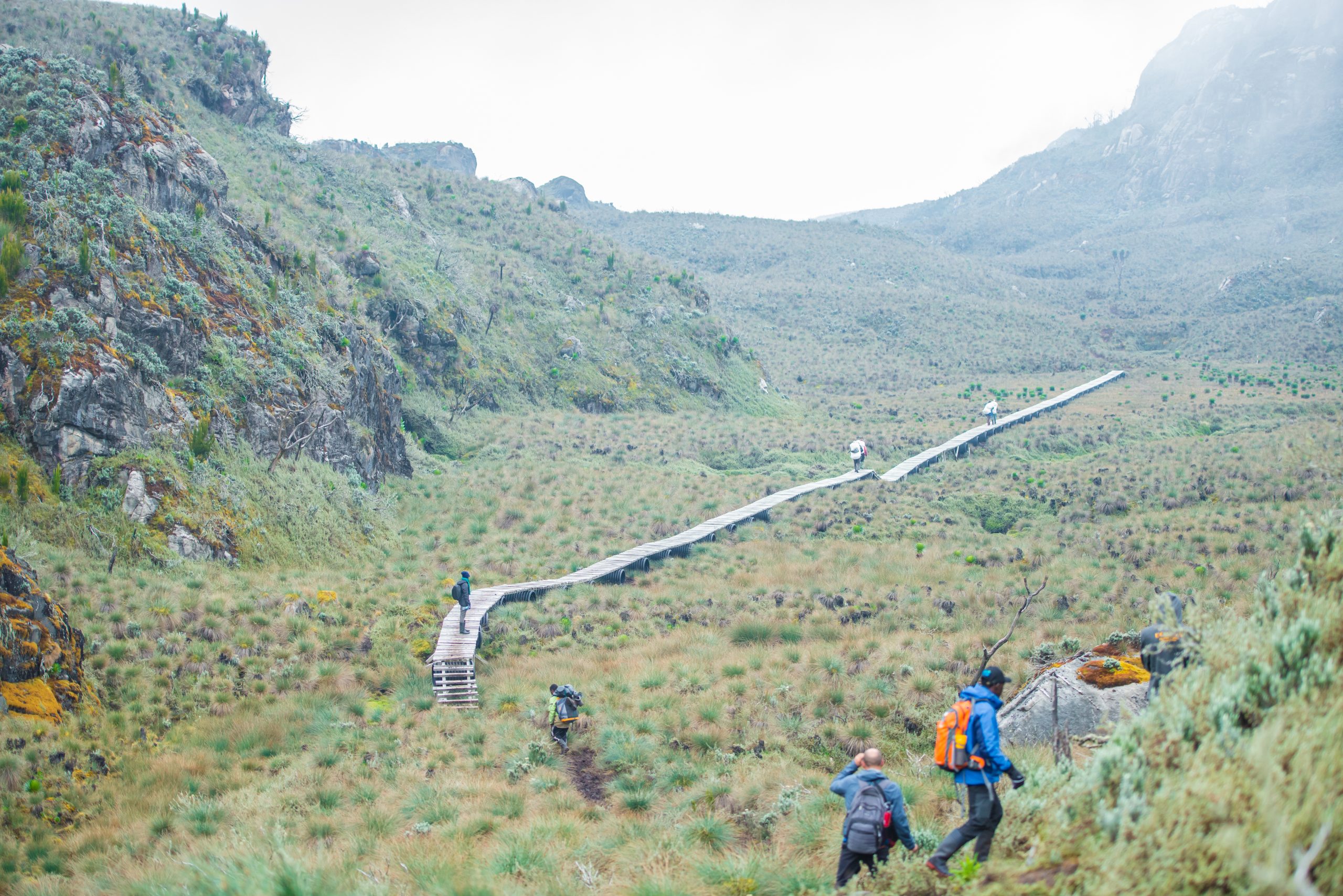 Rwenzori Central Circuit Trail