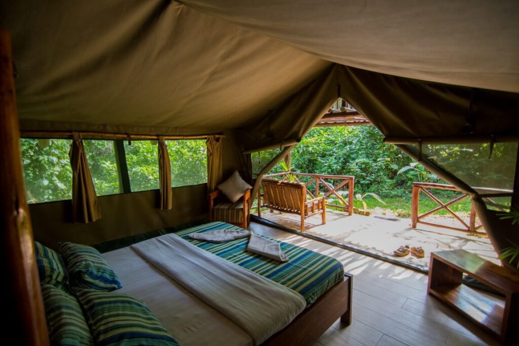 Wilderness Camping