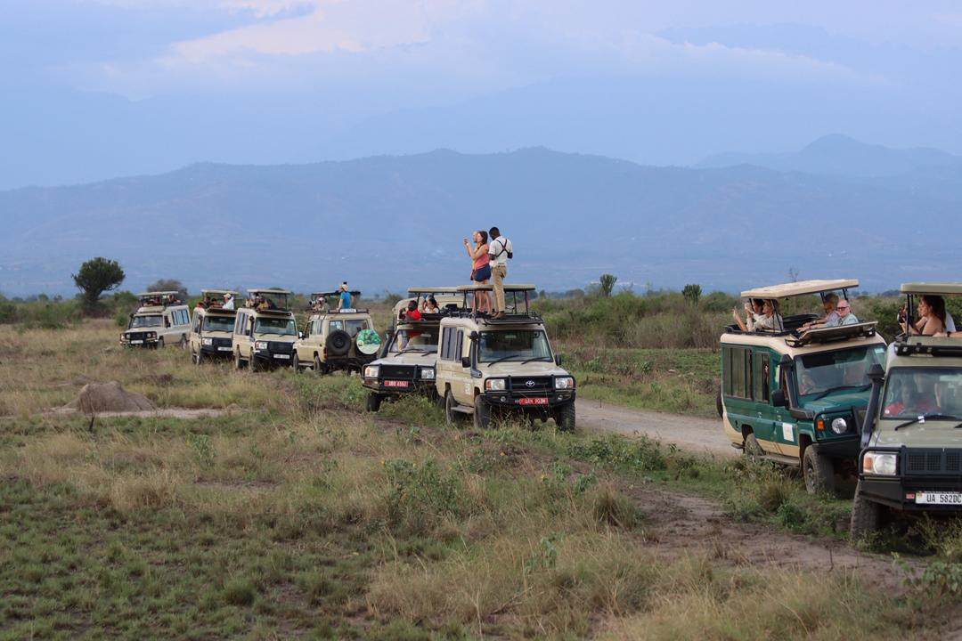 Customized Tour Safaris