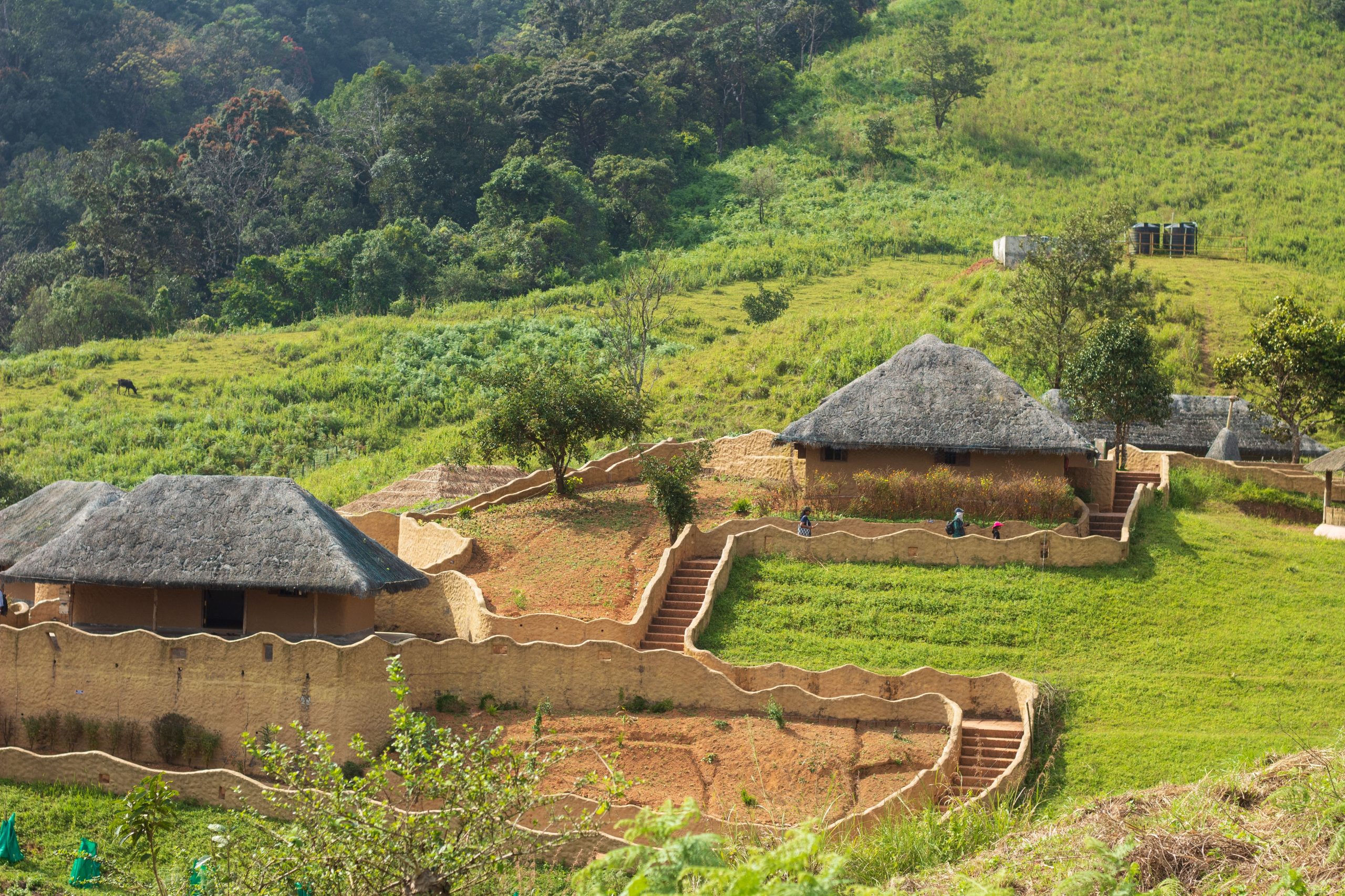 12 Days Cultural Rwanda Safari