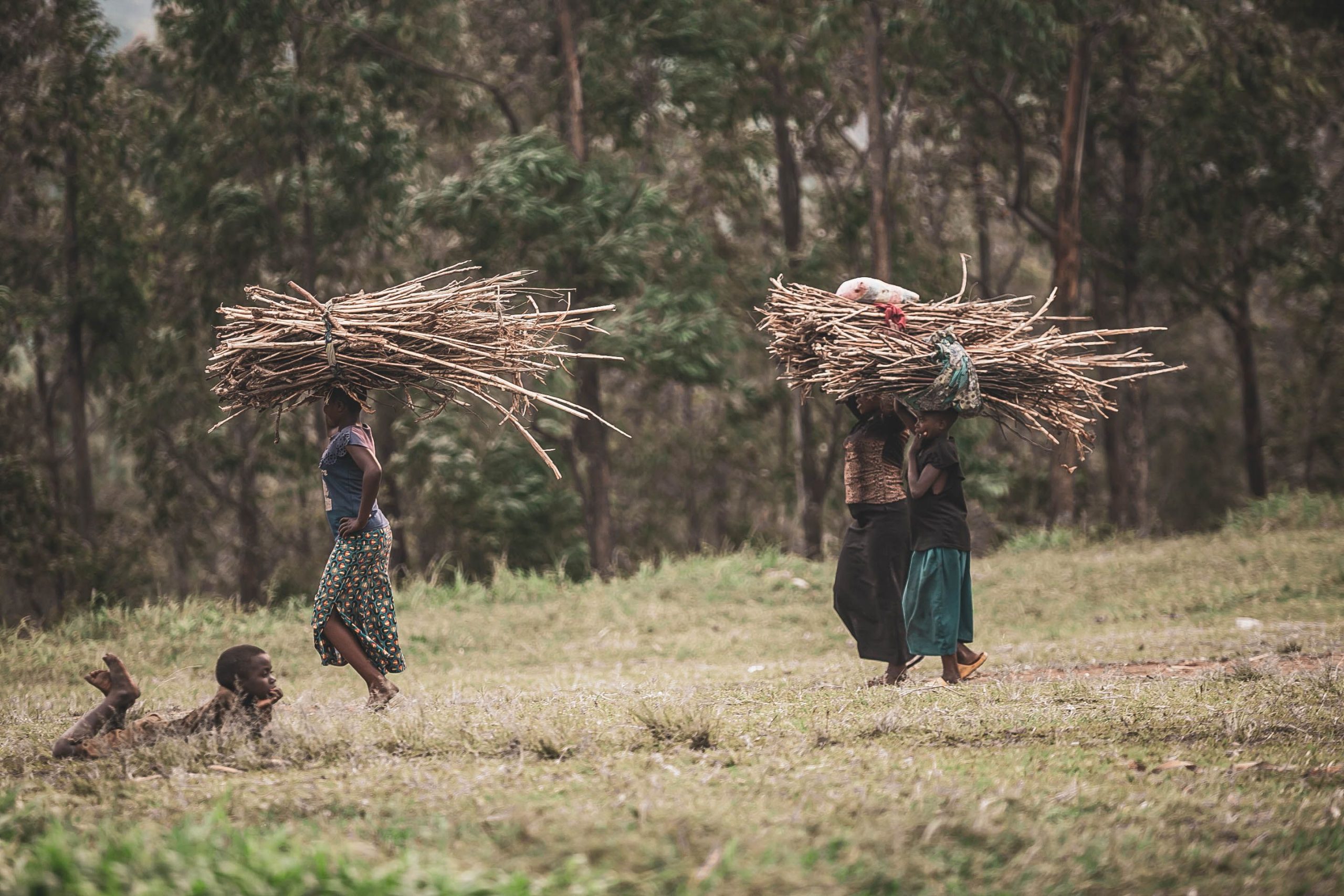 Batwa Pygmies Cultural Tour
